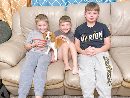 Fortmann Boy's Mystery T-Shirt Sale!